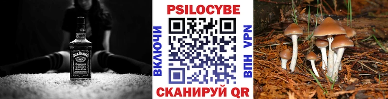 Псилоцибиновые грибы мухоморы  hydra ссылки  Кубинка 